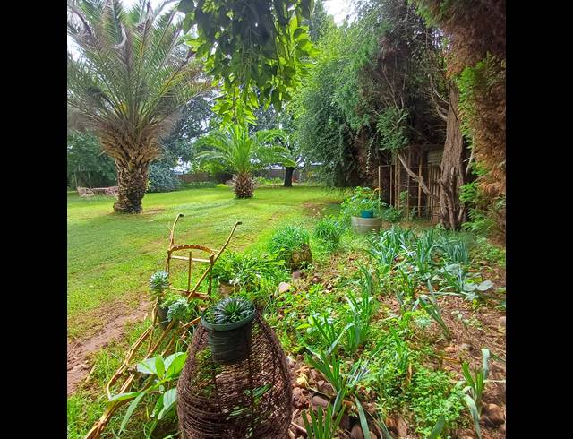 34HA FARM FOR SALE IN SHERMAN PARK